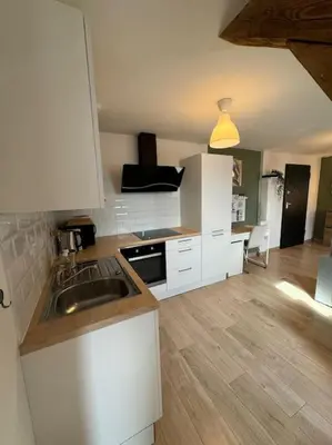 Cuisine ou kitchenette dans l'établissement Le Petit Nid de Colmar - Parking privé