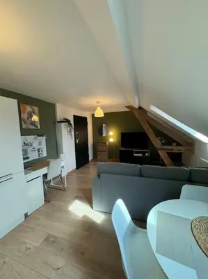 Cuisine ou kitchenette dans l'établissement Le Petit Nid de Colmar - Parking privé