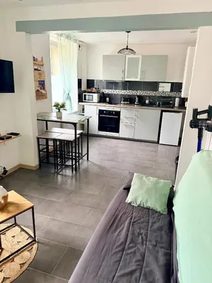 Cuisine ou kitchenette dans l'établissement Prix Malin Joli T2 en RDC