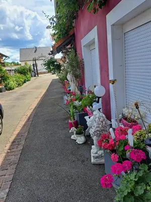 Jardin de l'établissement DOMAINE du VIEUX MOULIN