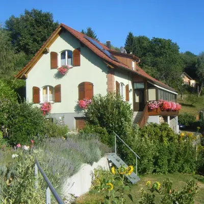 Jardin de l'établissement Chambre d'hôte les écureuils