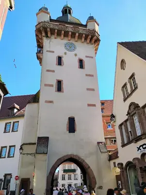 Plan de l'établissement Gîte Le Marronnier, parking et terrasse au calme, entre Colmar-Riquewihr et Obernai, vue sur espaces verts et coteaux d Alsace, route du vin-châteaux