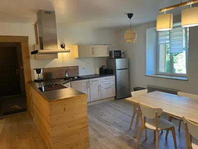 Cuisine ou kitchenette dans l'établissement Loft 5 personnes type chalet avec jardin