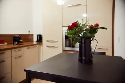 Cuisine ou kitchenette dans l'établissement L'Alsacien Plaisir- Balnéo-Wifi-Netflix