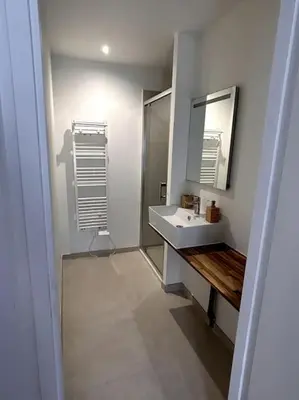 Salle de bains dans l'établissement Appartement proche La Bresse