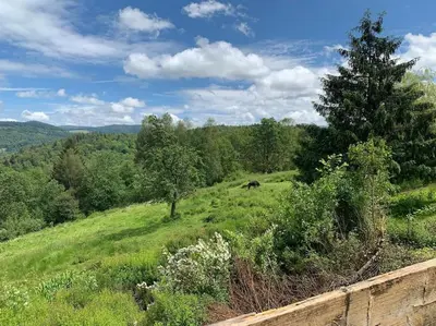 Paysage naturel près de la maison de vacances
