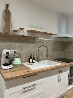 Cuisine ou kitchenette dans l'établissement Appartement chaleureux en Alsace