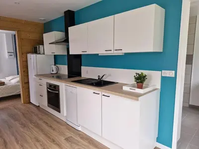 Cuisine ou kitchenette dans l'établissement Magnifique appartement Jonquille
