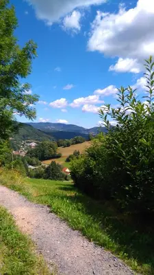 Paysage naturel près de le village vacances