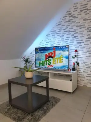 Télévision ou salle de divertissement dans l'établissement Gîte l'Oiseau du Paradis - Appartement moderne au cœur de l'Alsace