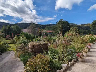 Vue générale sur la montagne ou vue sur la montagne depuis le B&B/chambre d'hôtes