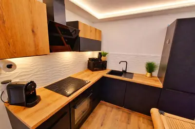 Cuisine ou kitchenette dans l'établissement JUNGLE SPA-4 Pers-Jacuzzi-Parking-Jardin-Clim-Colmar