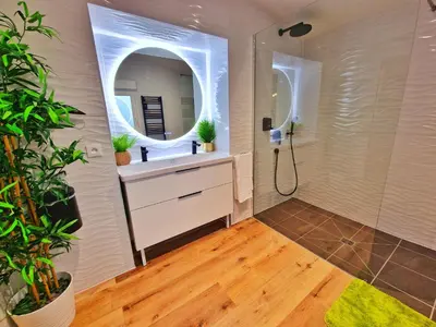 Salle de bains dans l'établissement JUNGLE SPA-4 Pers-Jacuzzi-Parking-Jardin-Clim-Colmar