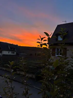 Lever ou coucher de soleil vu de l'appartement ou à proximité