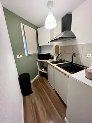 Cuisine ou kitchenette dans l'établissement Appartement plein centre-ville