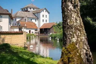 Vue sur la rivière ou le fleuve situé(e) à proximité de la villa