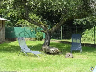 Jardin de l'établissement Grande maison proche des Vosges, idéale cyclisme et randonnée, animaux admis, vélos à dispo - FR-1-583-298