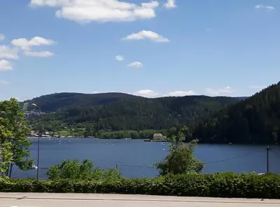 Paysage naturel près de l'appartement