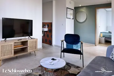 Télévision ou salle de divertissement dans l'établissement Le Schlossreben - La Maison des Vignerons