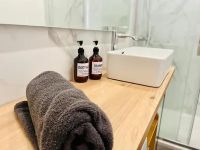 Salle de bains dans l'établissement 002 - Évasion dans un appartement élégant à Belfort