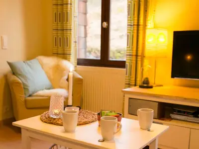 Télévision ou salle de divertissement dans l'établissement Gîte montagnard confortable avec terrasse et WIFI - FR-1-589-751