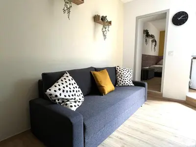 Coin salon dans l'établissement BE-0 - Joli 2 pièces pour 1-2 pers au RDC au centre de Mulhouse