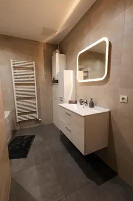 Salle de bains dans l'établissement La Cure grand appartement familial 3 chambres avec terrasse et parking à 10 minutes de Colmar