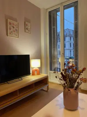 Télévision ou salle de divertissement dans l'établissement Mulhouse hyper centre - Grand T3- Aux bons enfants