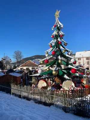 Plan de l'établissement Le cocon des fauvettes-Gérardmer
