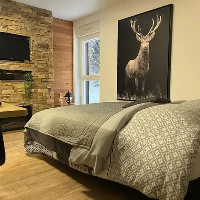 Studio Chalet des Pistes