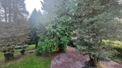 Jardin de l'établissement Le Pavillon dans le Parc