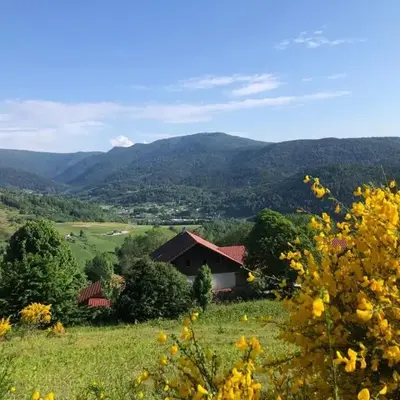 Appartement à la ferme vosgienne avec terrasse