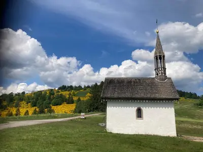 Plan de l'établissement Gîte rural Vosges, 6 pers., WiFi, parking, vélos bienvenue - FR-1-589-760