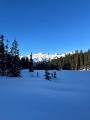 L'établissement Les Fuchsias, face au lac de Longemer en hiver