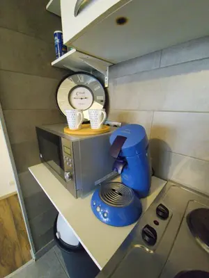 Cuisine ou kitchenette dans l'établissement Belle vue appart