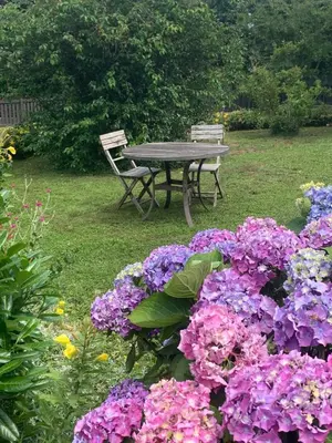 Jardin de l'établissement Espace privé dans un parc arboré