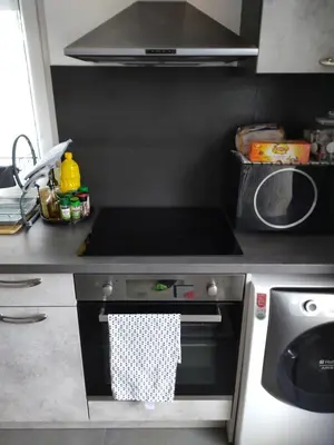Cuisine ou kitchenette dans l'établissement Le nid du colibri appartement entier F1 à 5 mn de Mulhouse
