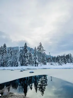 Paysage naturel près de l'appartement