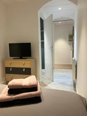 Télévision ou salle de divertissement dans l'établissement Lovely Mulhouse Apartment