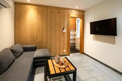 Télévision ou salle de divertissement dans l'établissement Gite Le ptit plus à Gérardmer