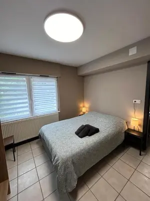Un ou plusieurs lits dans un hébergement de l'établissement T2 Chaleureux logement a Thann