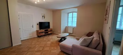 Télévision ou salle de divertissement dans l'établissement L'Arbre Rose de Bergheim