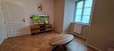 Télévision ou salle de divertissement dans l'établissement L'Arbre Rose de Bergheim