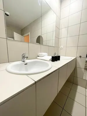 Salle de bains dans l'établissement Bale 23 Magnifique Logement 6 Pers Parking Prive