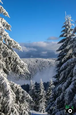 Paysage naturel près de le chalet