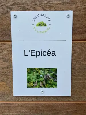 Certificat, récompense, panneau ou autre document affiché dans l'établissement Duplex L'épicéa