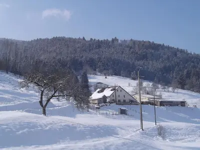 L'établissement Gîte Les Fremi'Zh en hiver