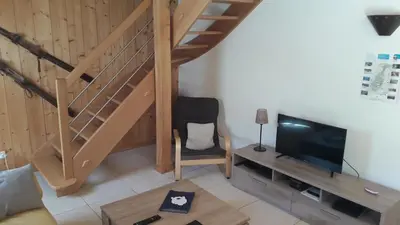 Télévision ou salle de divertissement dans l'établissement CHALET AU CALME à GERARDMER