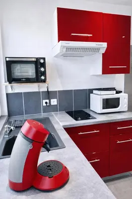 Cuisine ou kitchenette dans l'établissement studio tout équipé, calme avec terrasse et parking