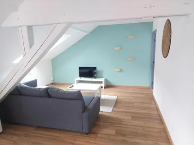 Télévision ou salle de divertissement dans l'établissement Cosy 4 - Audincourt centre